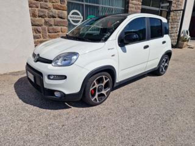 Fiat Panda 1.0 Firefly S&s Hybrid Sport 