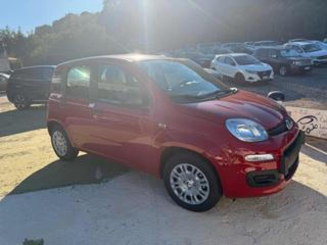 Fiat Panda 1.0 Firefly S&s Hybrid Icon 
